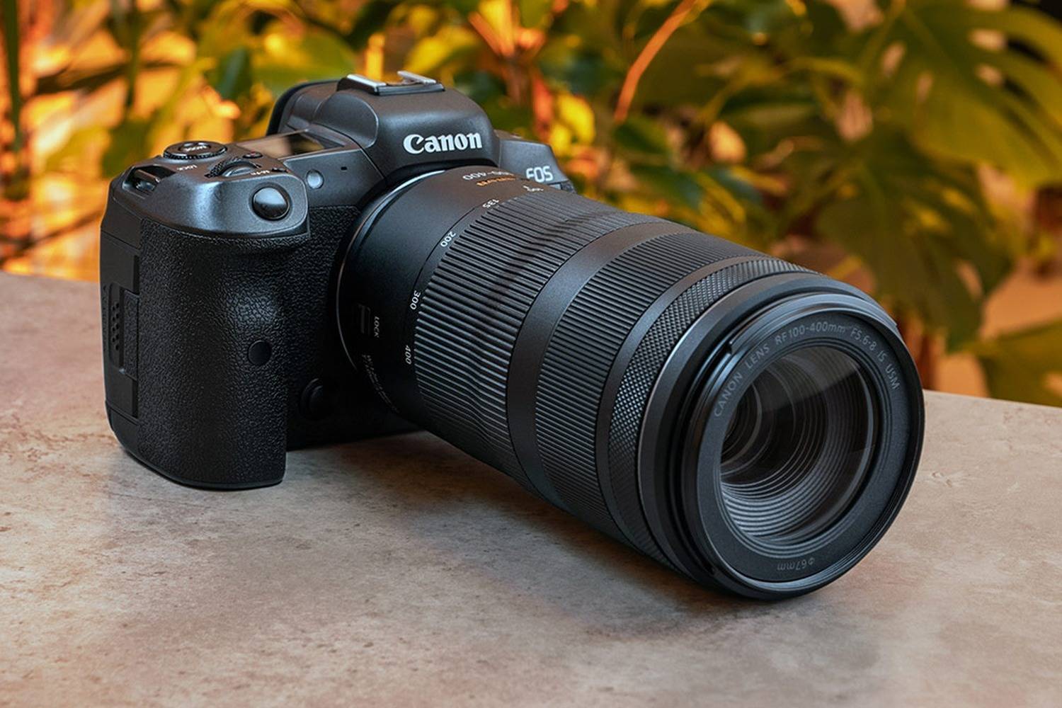캐논 100-400mm 망원렌즈, EF와 RF 중 뭐가 더 잘 맞을까?
