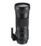 시그마 60-600mm F4.5-6.3 DG DN OS Sports 제품 이미지